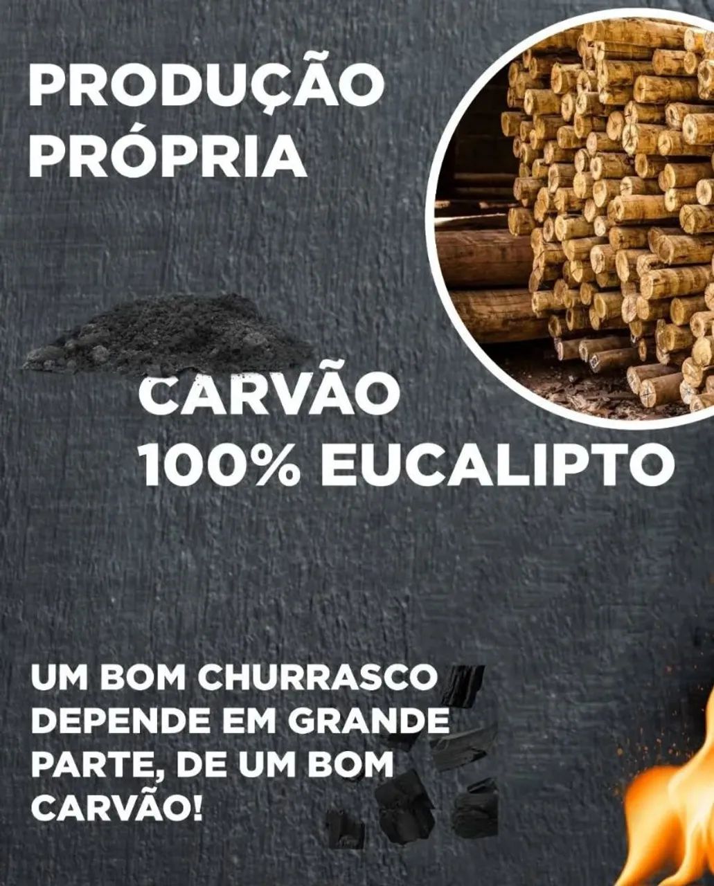 Carvão 100% de Eucalipto  - Foto 3