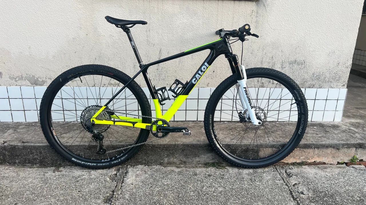 Caloi Elite Carbon Racing