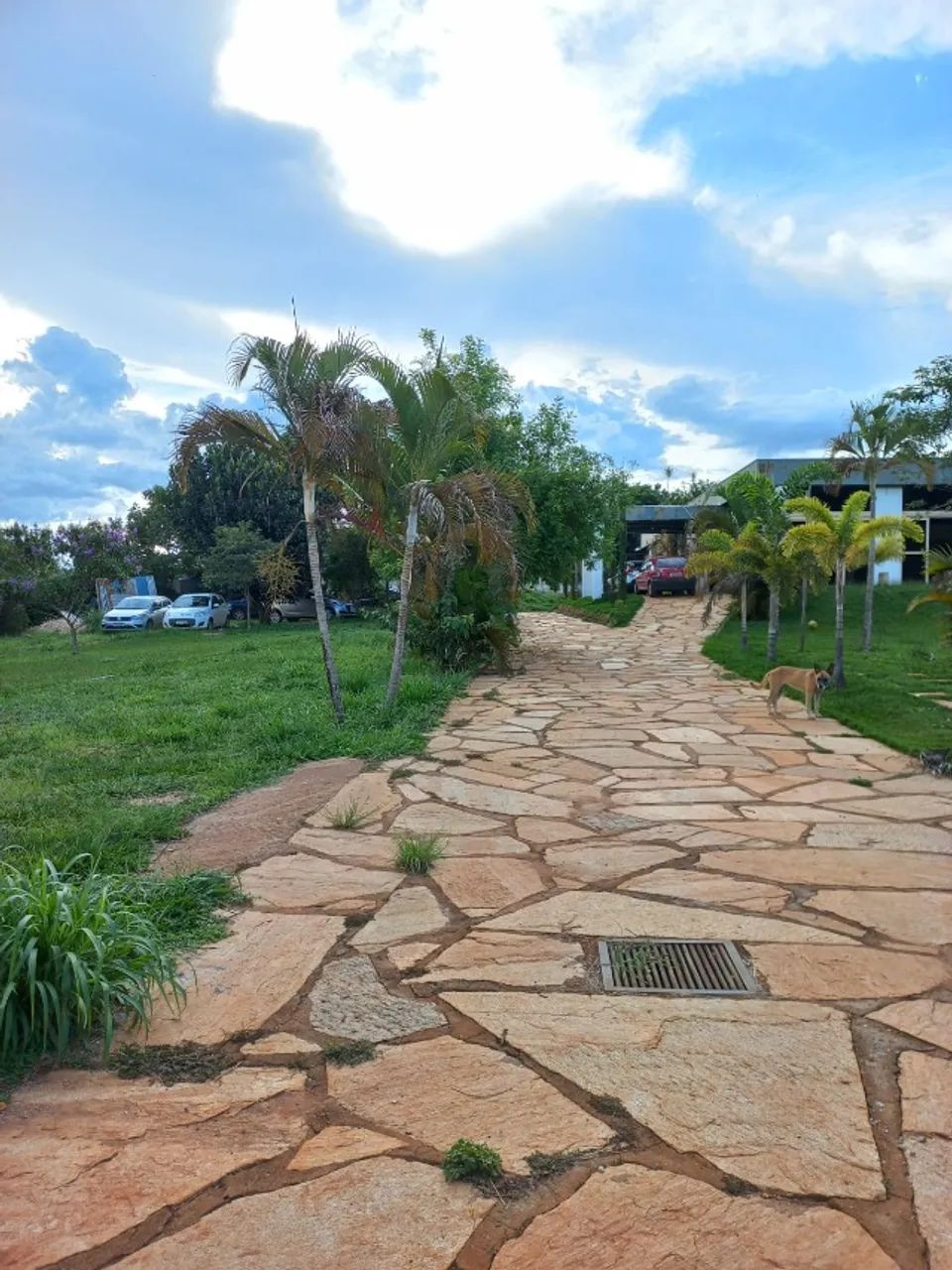 Sitio em Sobradinho dos Melos DF 5.000m2 - Foto 3