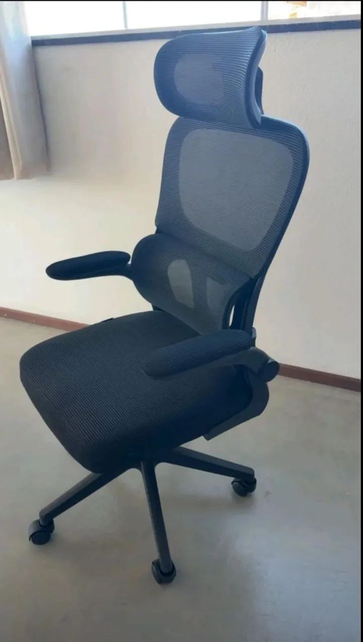 Cadeira Ergonômica 