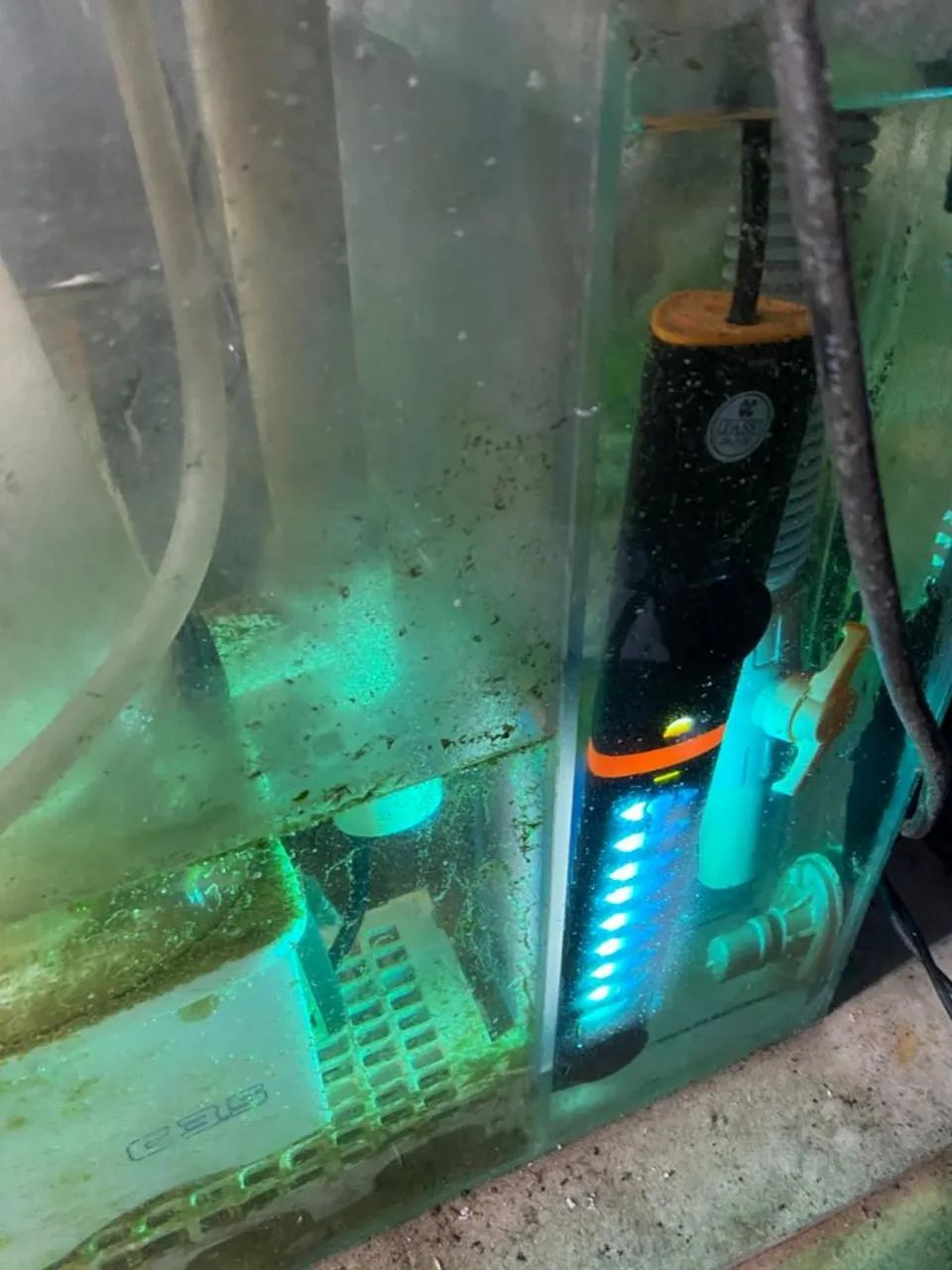 Aquário Completo  - Foto 3