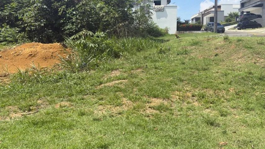 Lote Condomínio Morada dos Pássaros - Foto 5