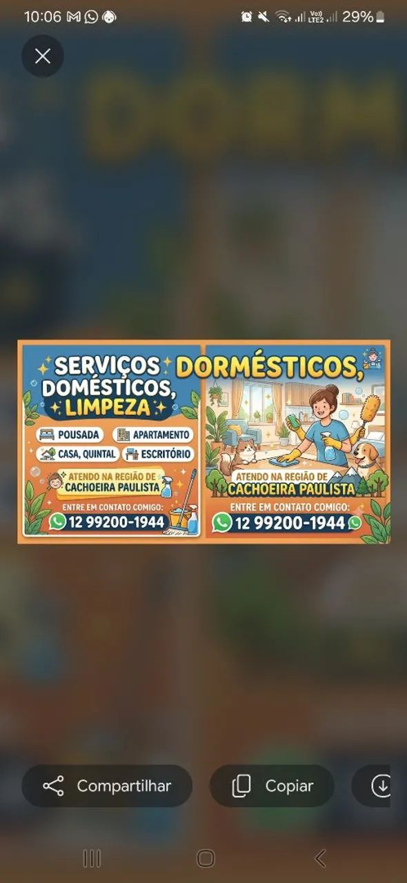Serviços domésticos, limpeza 