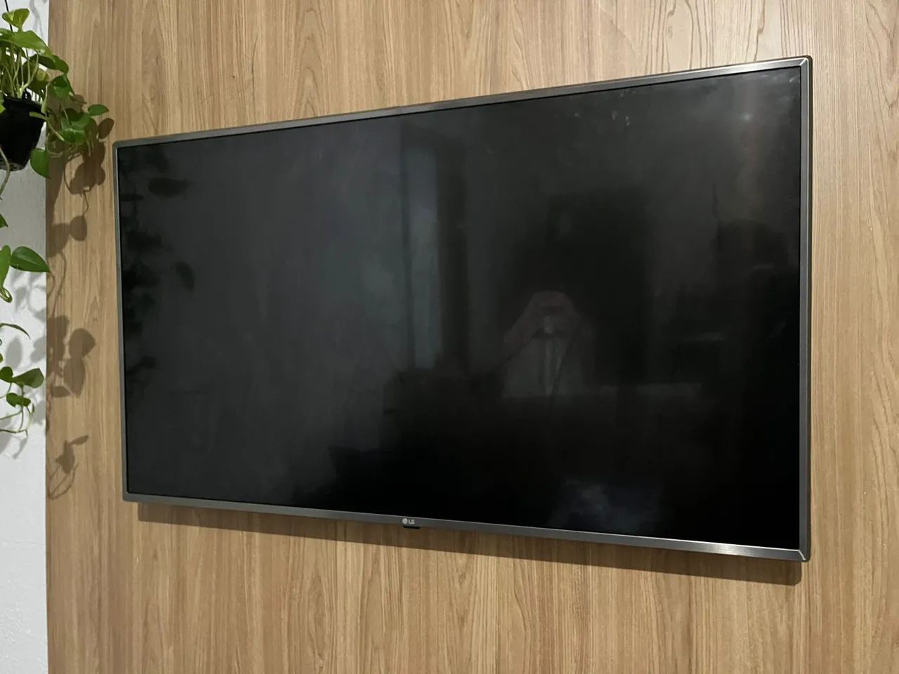 Televisão 49 polegadas 