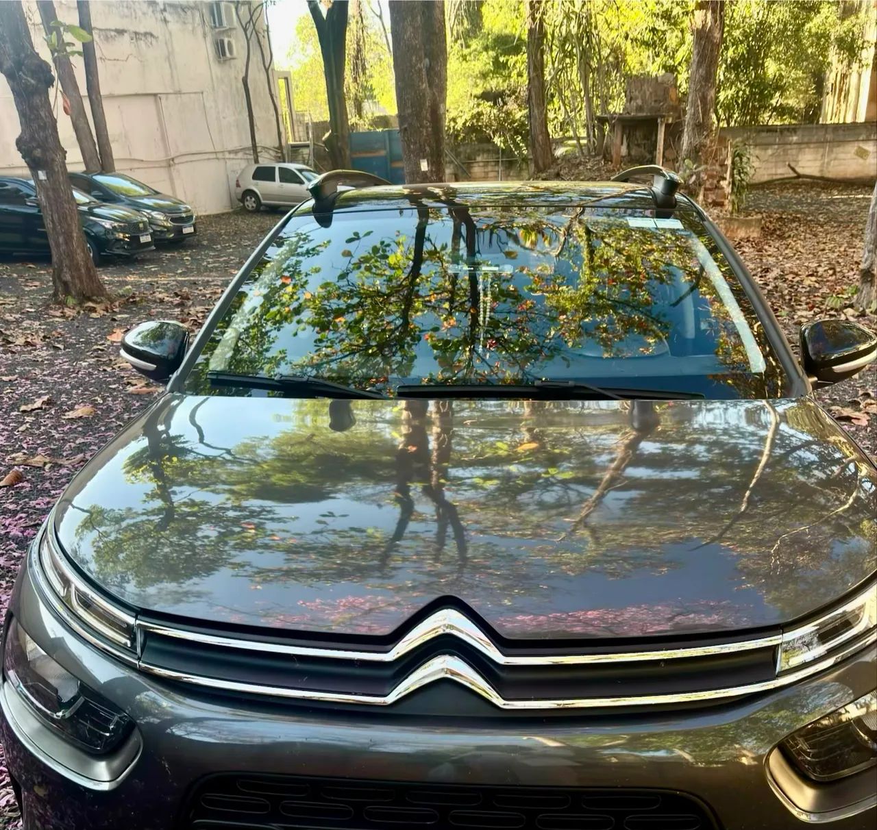Citroën C4 2020
