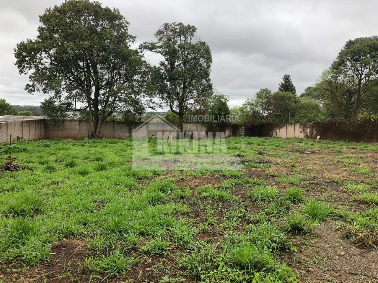 TERRENO À VENDA EM UVARANAS - Foto 4