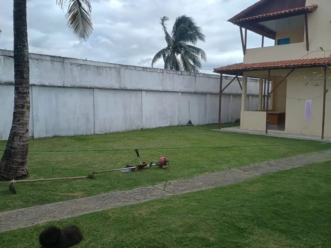 Jardinagem  - Foto 4