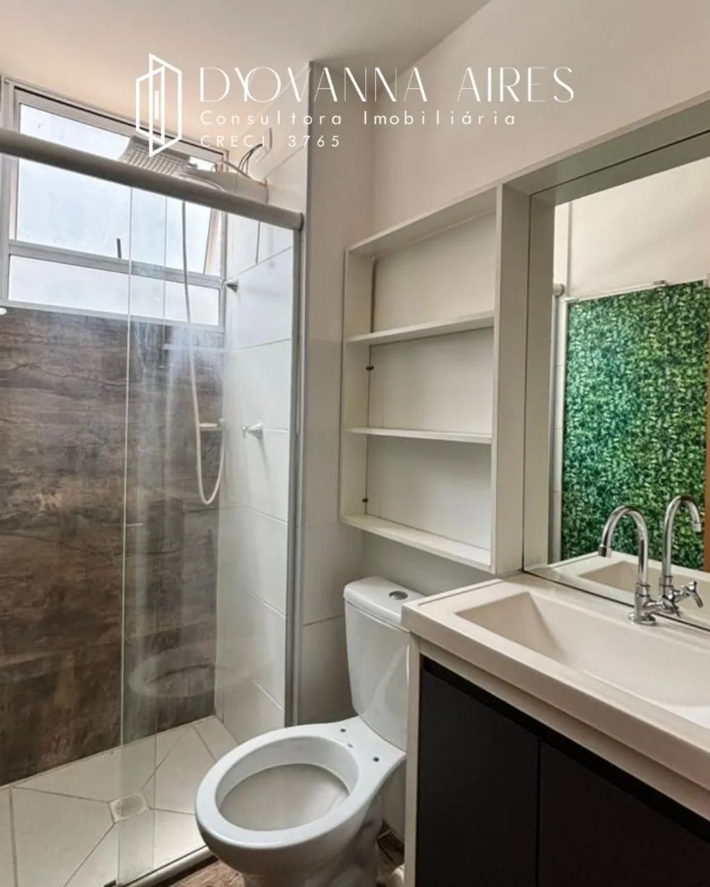 Palmeira Monarca - Atrás da Ulbra - Foto 4