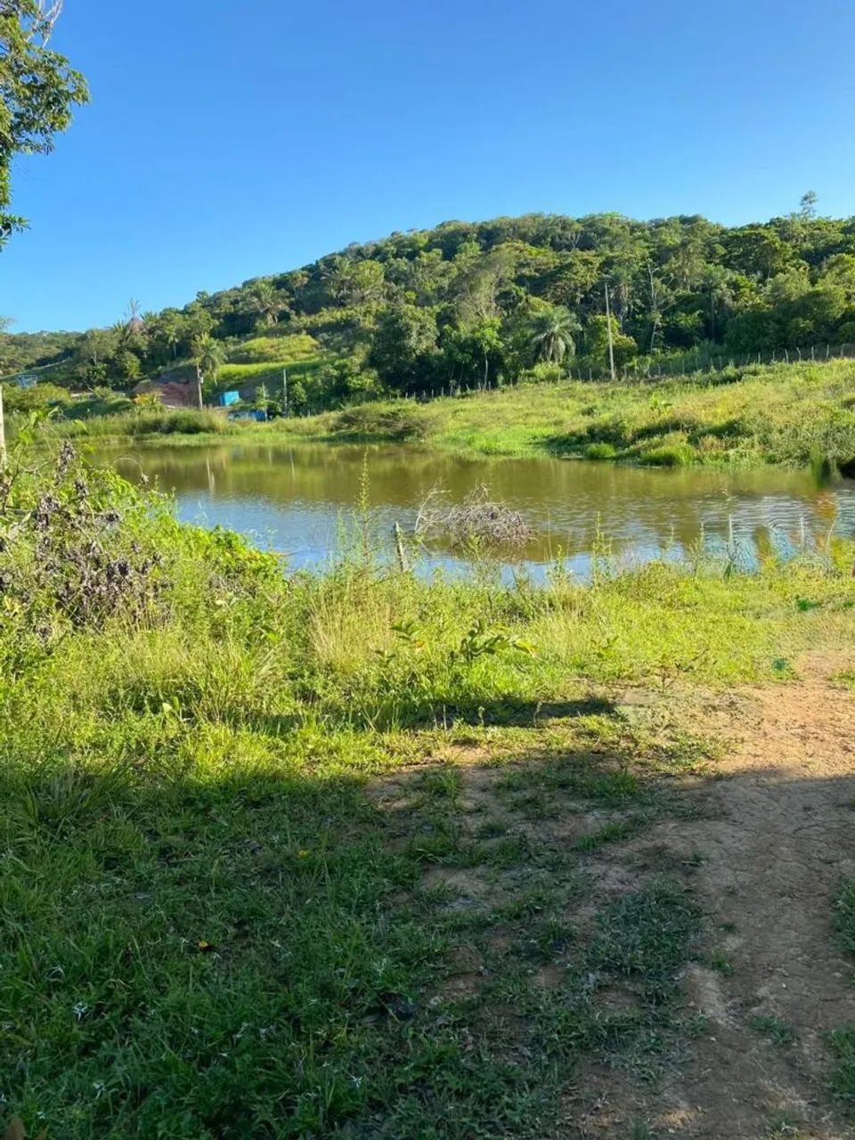 Granja  - Foto 2