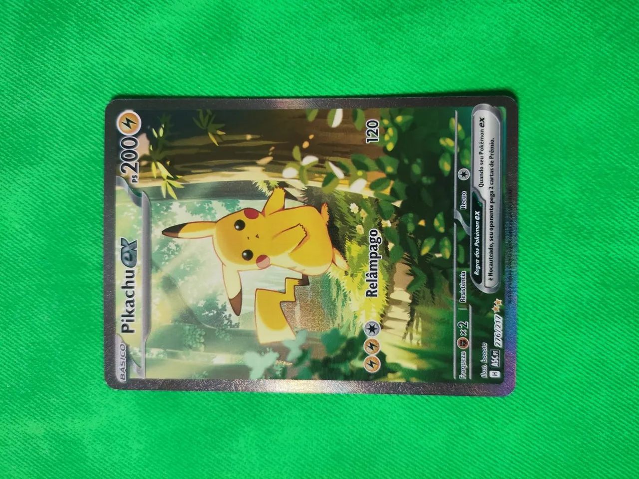 Pikachu da Floresta 