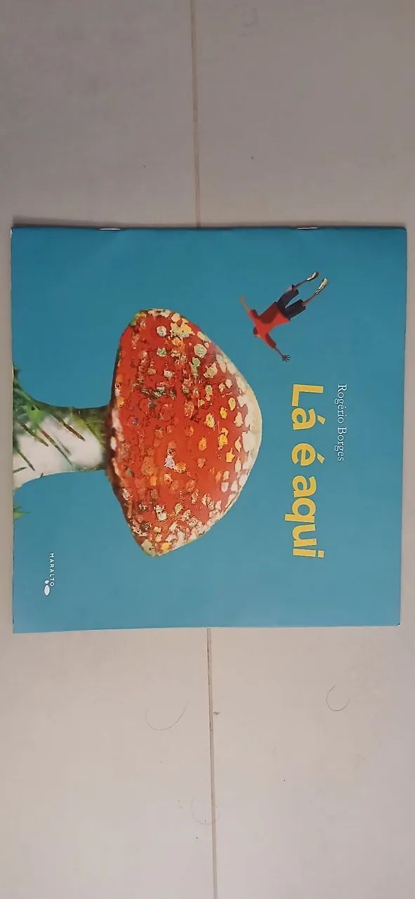 Livro Lá é aqui