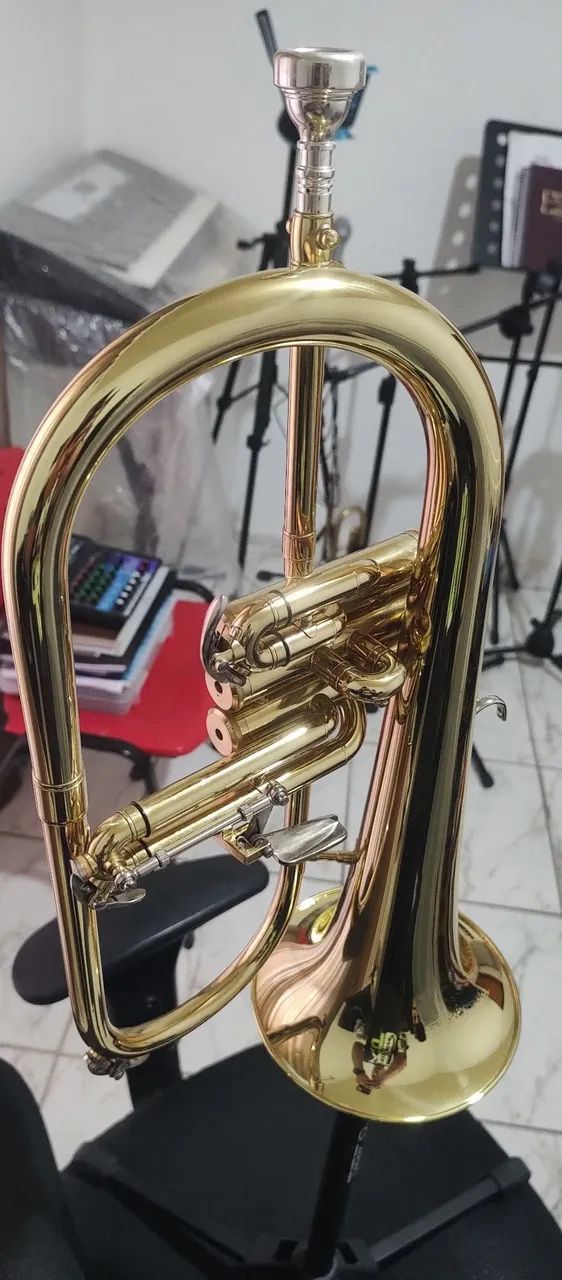 Flugelhorn  - Foto 3
