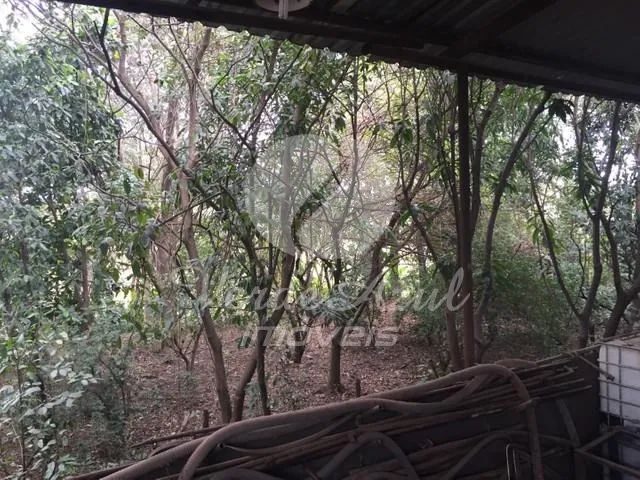barracão - Santa Terezinha - Paulínia - Foto 3