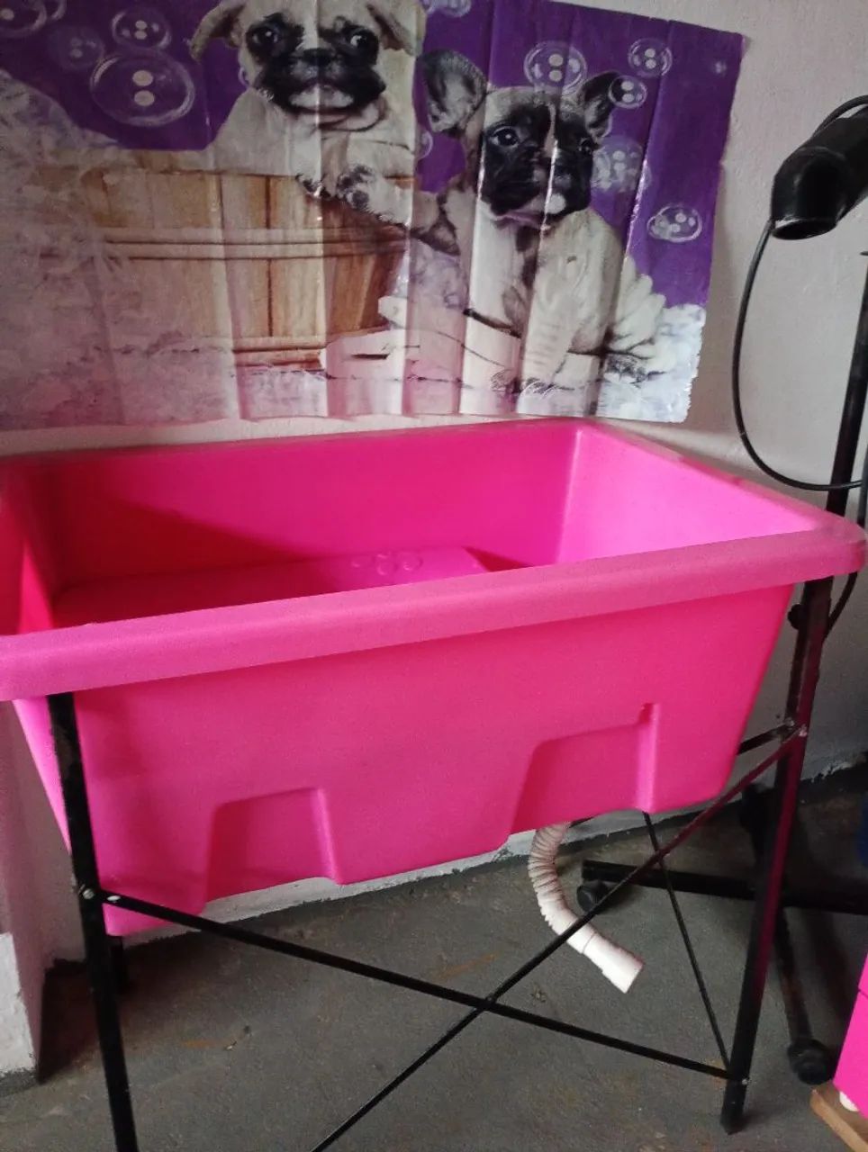 Pet shop - Foto 3