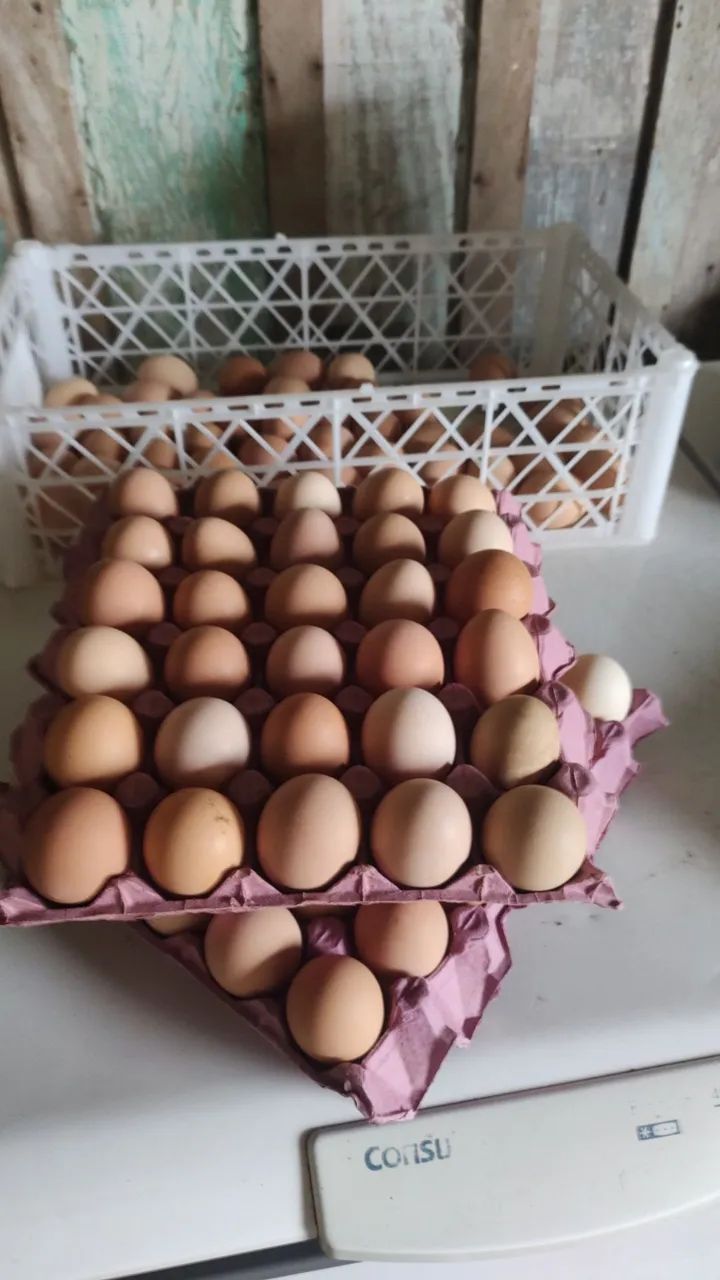 Vende-se ovos caipira - Foto 3