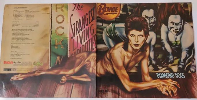 LP David Bowie Diamond Dogs original de 1974 - CDs, DVDs etc