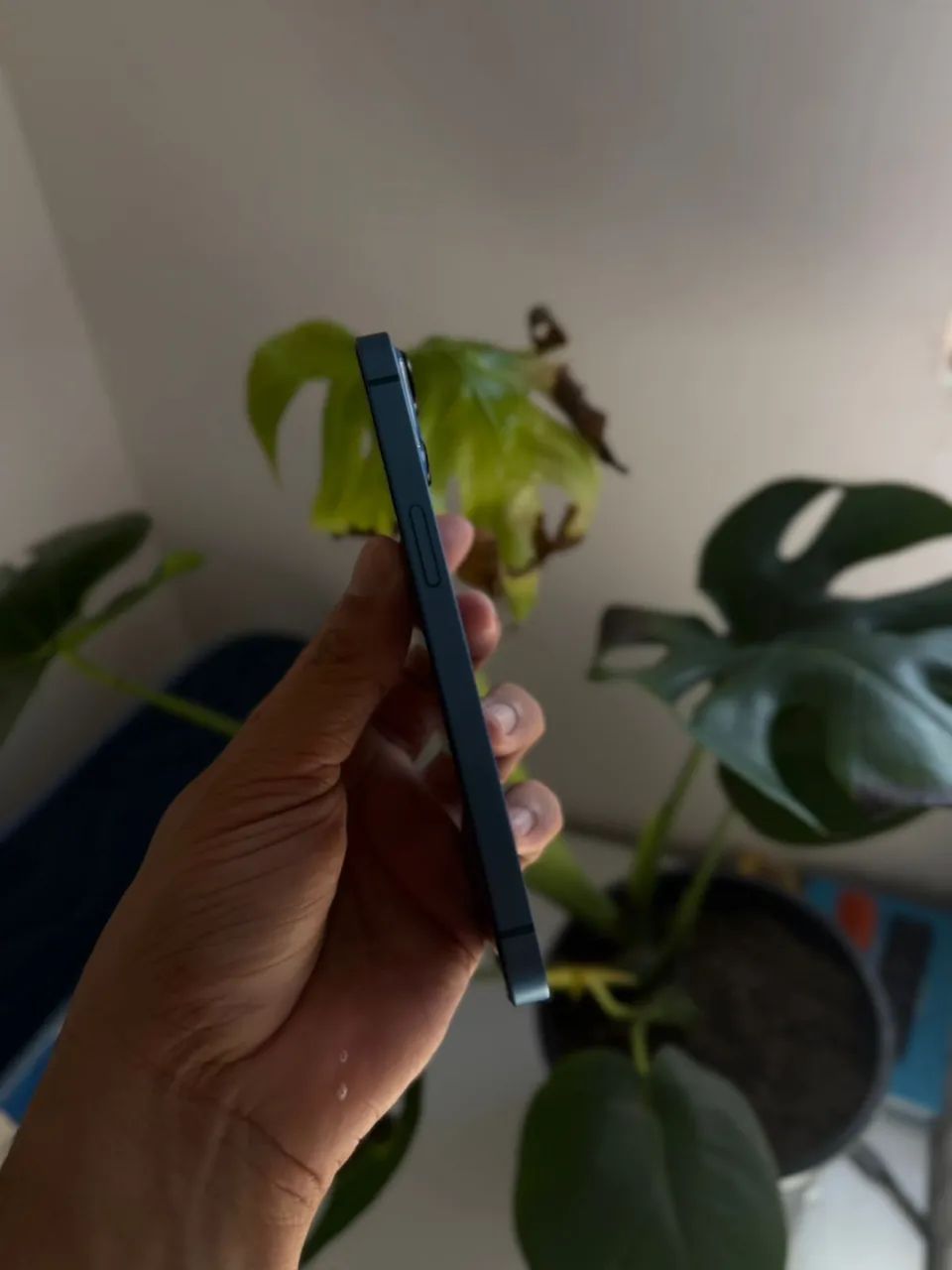 iPhone 13 - 256GB - Foto 5