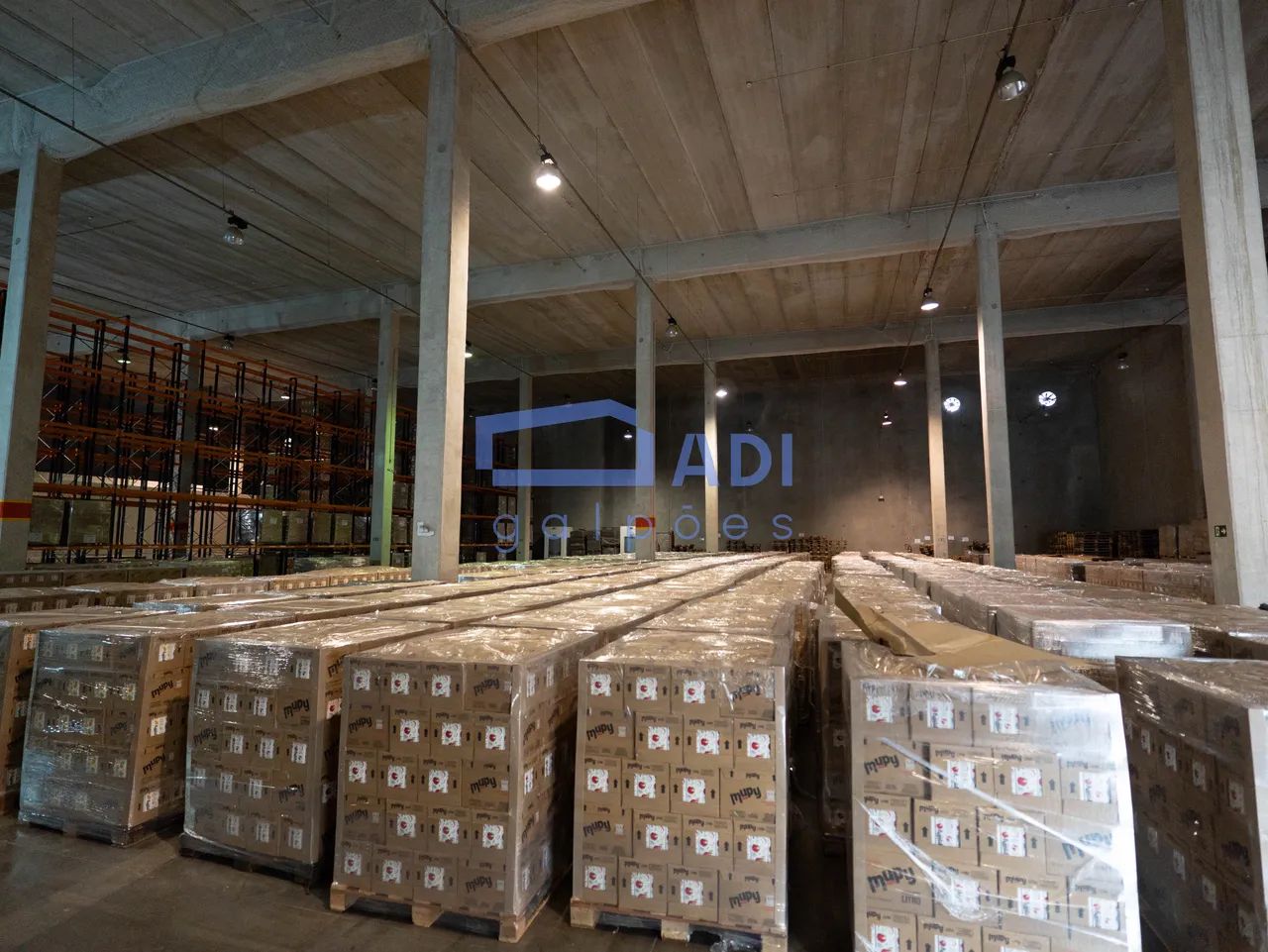 Galpão 3516 m²  Pé direito 10  Jandira  Castello Branco - Foto 4