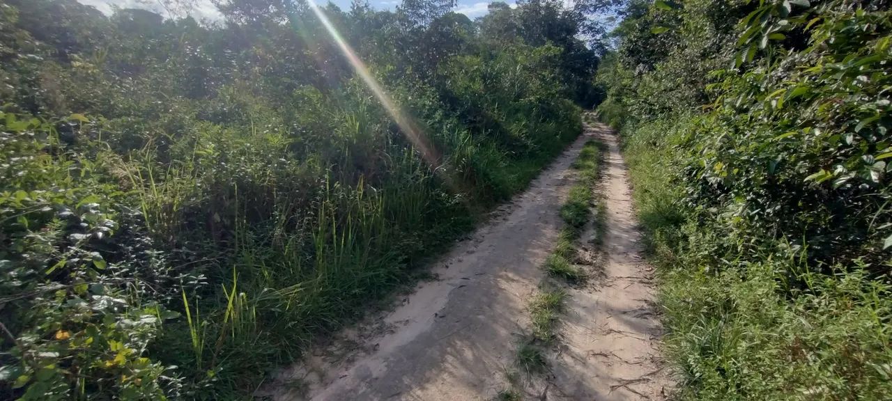 Terreno em Mosqueiro  - Foto 3