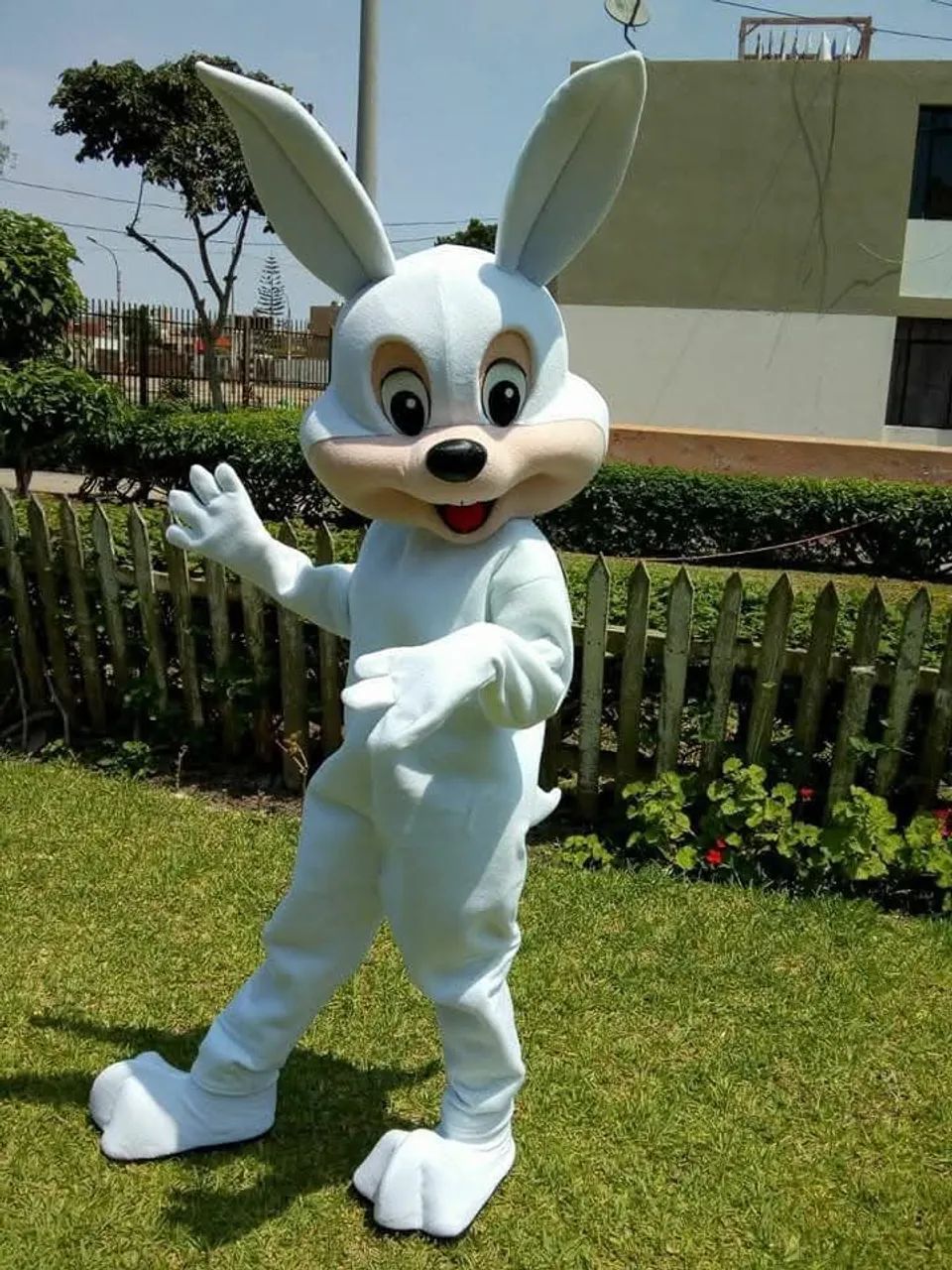 Coelhinho da Páscoa últimas vagas. - Foto 2