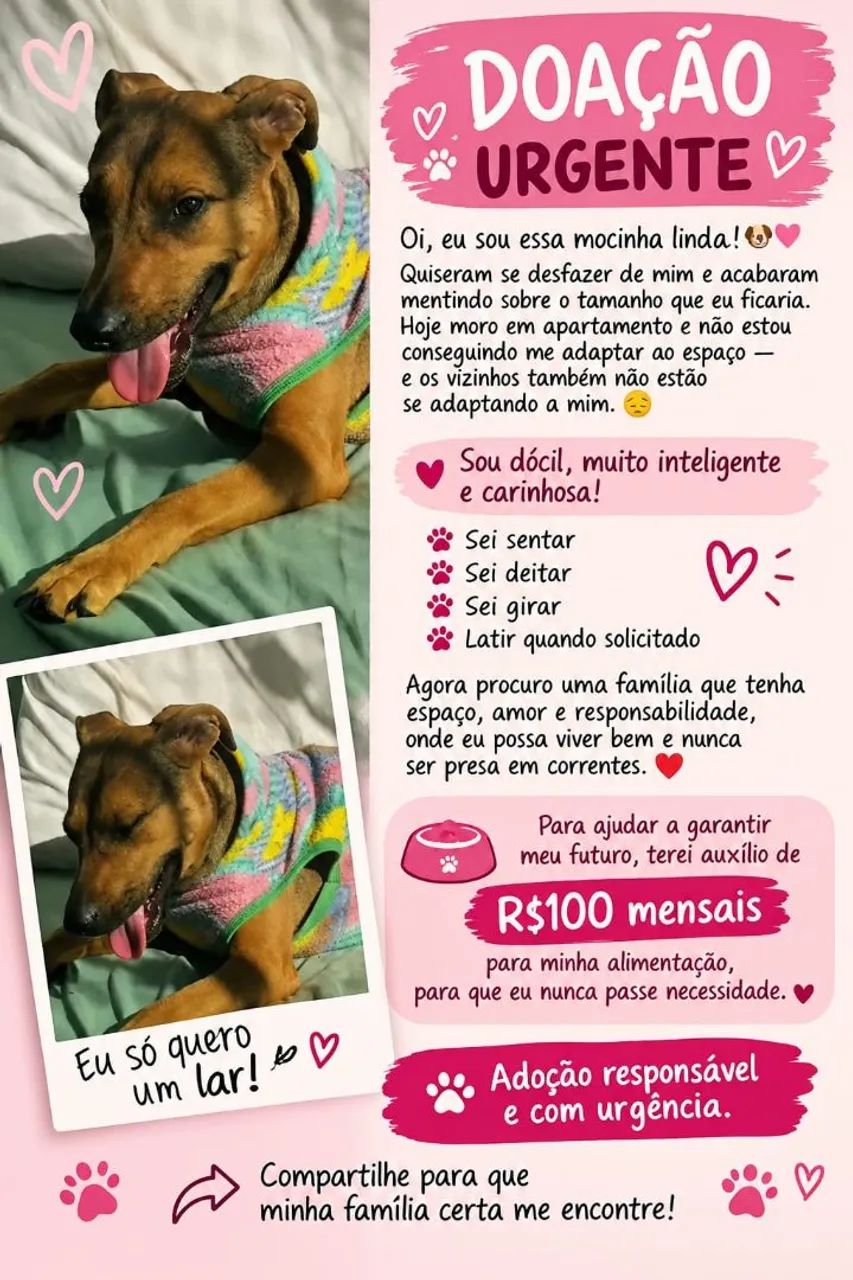 Doa cachorro 