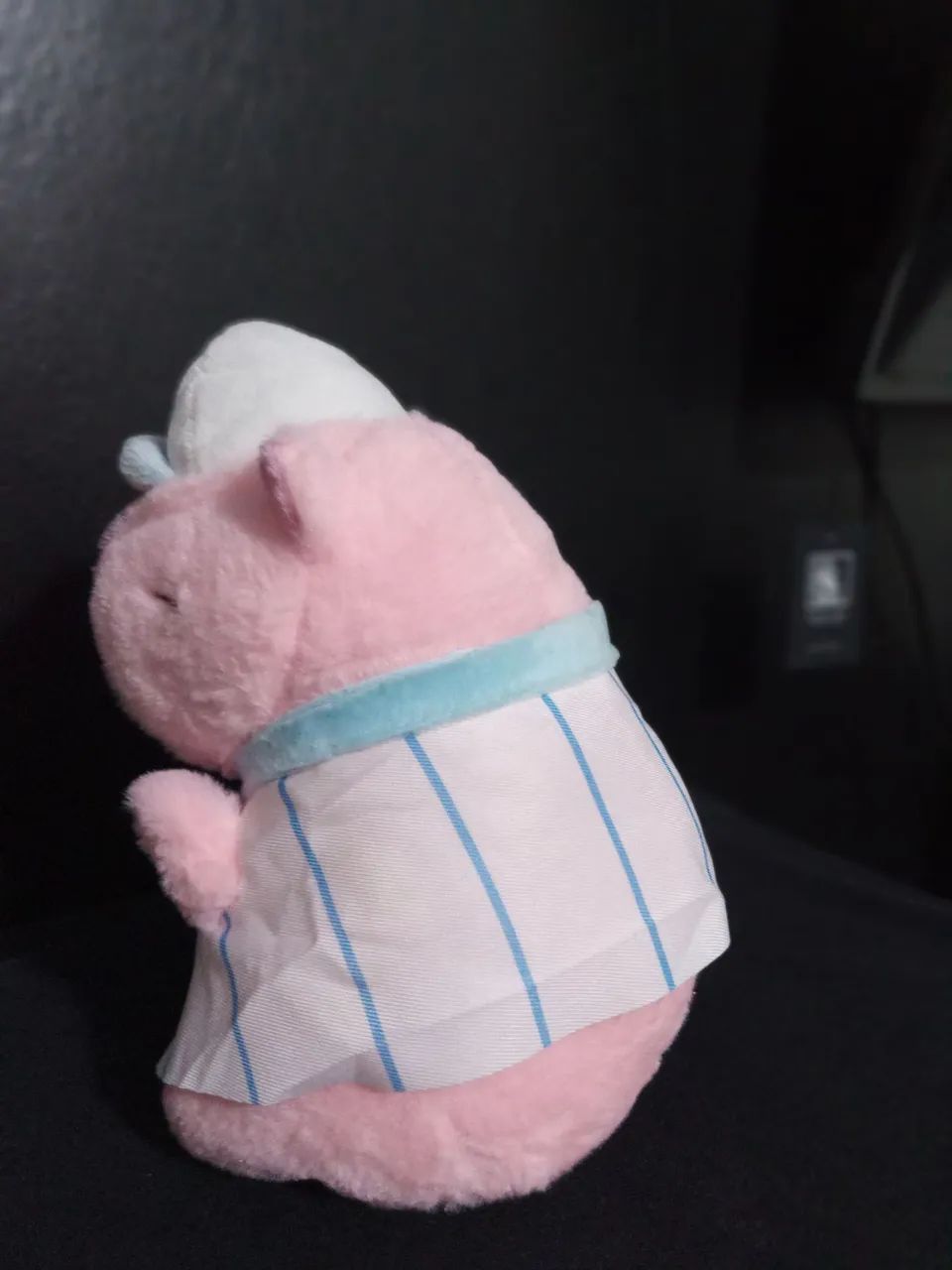 Capivara de Pelúcia  - Foto 2