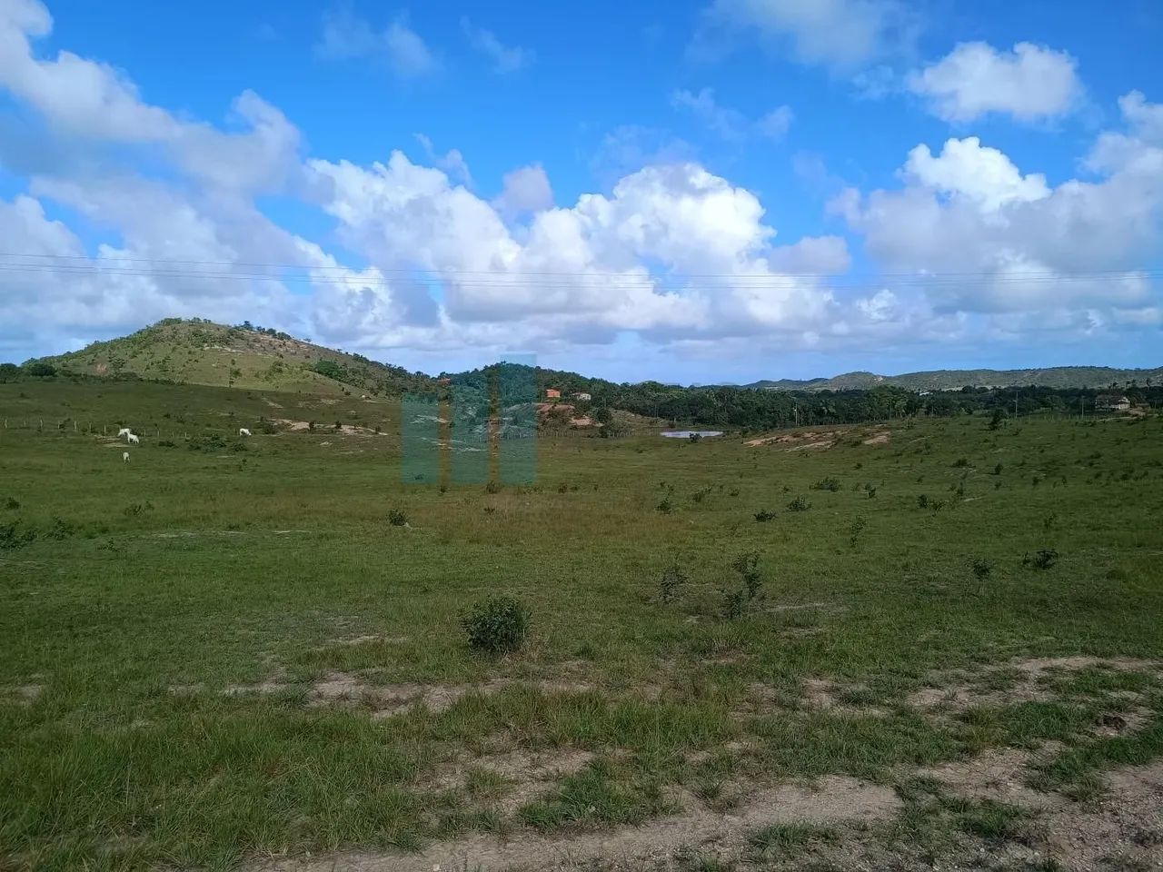 Fazenda com 333 tarefas a 50 km de Aracaju no Povoado Nova Estância  - Foto 3