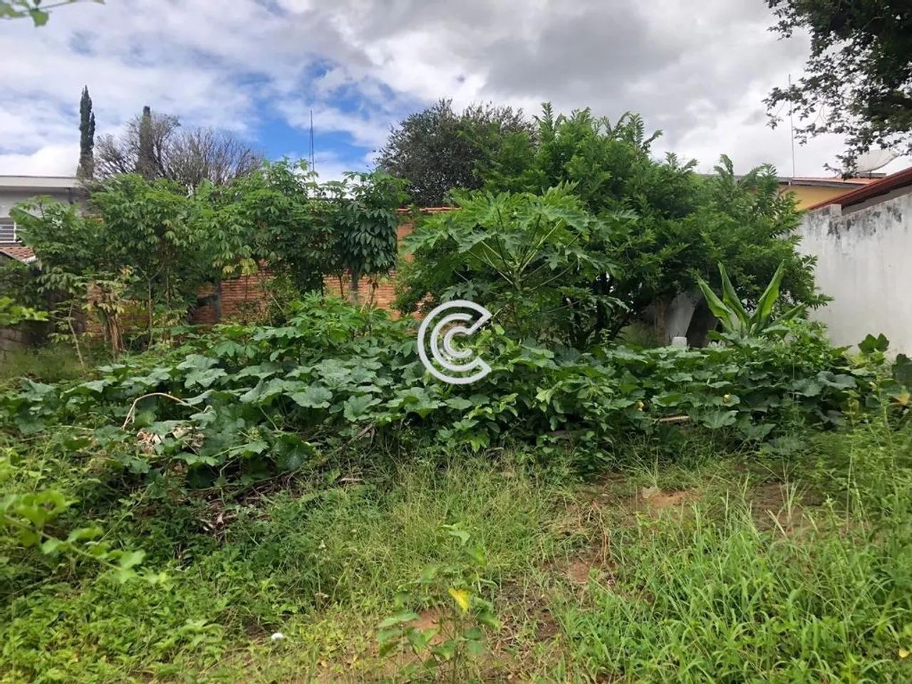 Terreno à venda em Campinas, JARDIM EULINA, com 335 m² - Foto 4