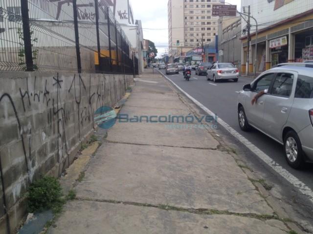 Terreno para alugar em Centro, Campinas cod:TE00353 - Foto 6