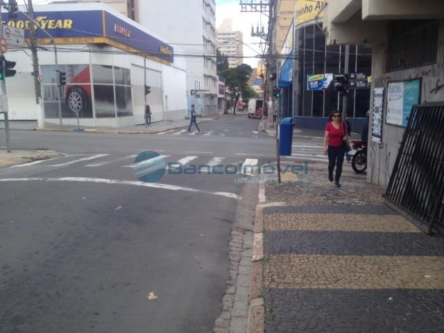 Terreno para alugar em Centro, Campinas cod:TE00353 - Foto 3