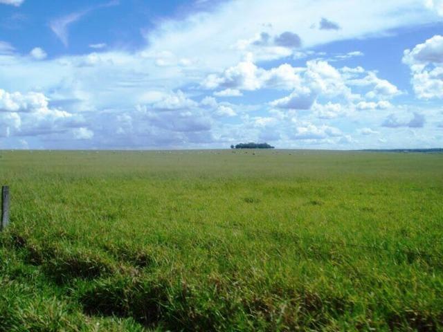 Fazenda de 34385 hectares em MT