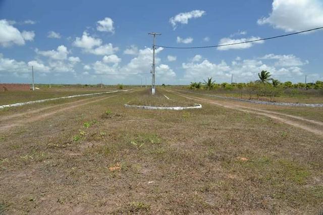 Terreno para mini - granja ( Ceara mirim) 25 x 40 - Foto 6