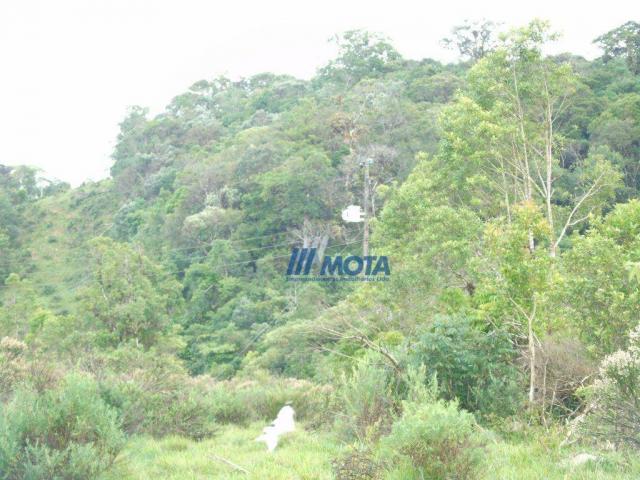 Sítio à venda, 354712 m² por r$ 250.000,00 - miringuava - são josé dos pinhais/pr - Foto 17