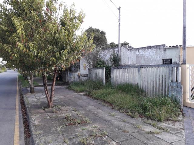 Terreno- Bairro São Cristóvão - Foto 2
