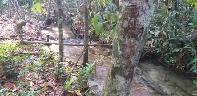 Vendo Chácaras a 15 km de Nova MUTUM - Foto 5
