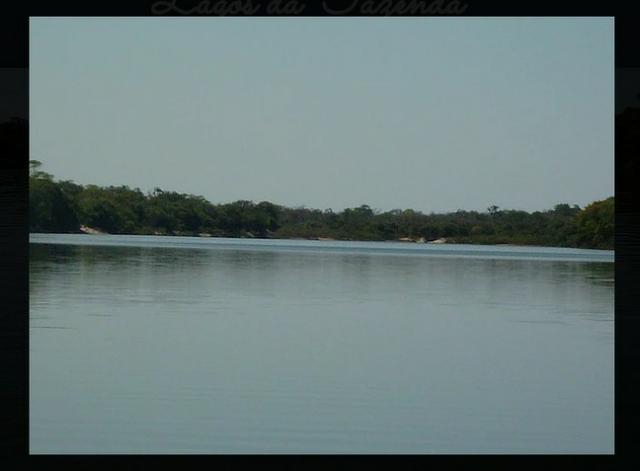 Fazenda em Mato Grosso divisa com Goias sendo 10.257hectares - Foto 2