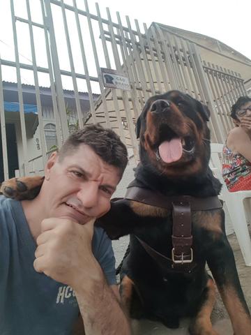 Cachorro procura namorada - Foto 2