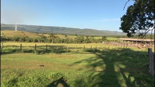 Fazenda a 82 Km de Cuiabá-MT próximo a Acorizal - Foto 11