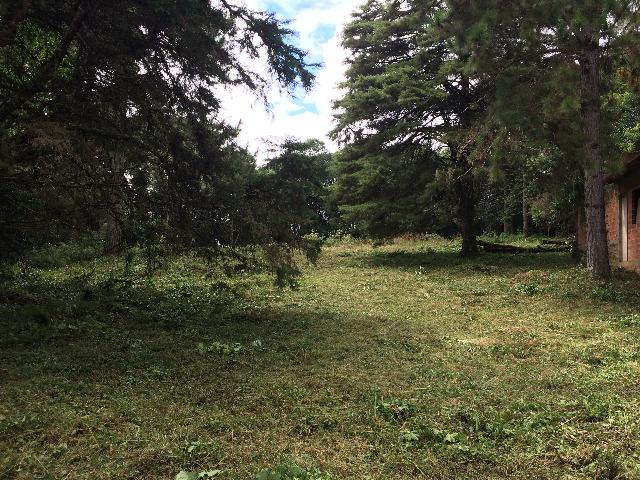 Terreno ZR2 rua prosdocimo lago - Foto 5