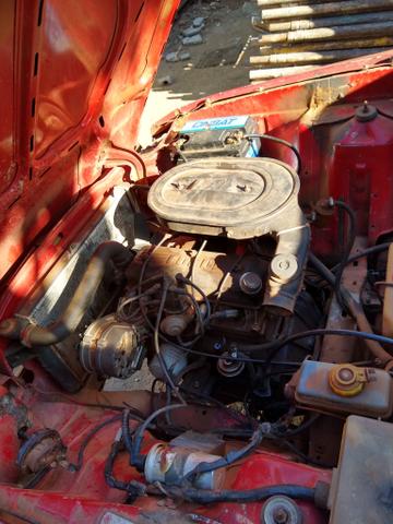 Vende se pampa - Foto 3