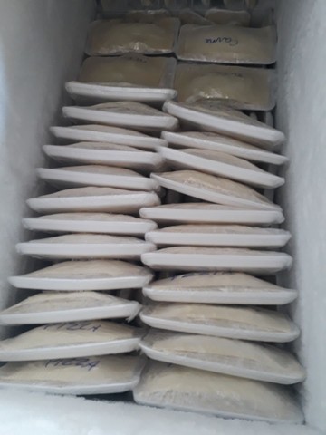 GANHE DINHEIRO COM VENDA DE PASTEIS  - Foto 3