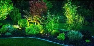 Refletor Verde para Jardim 50W, IP66 - Foto 2