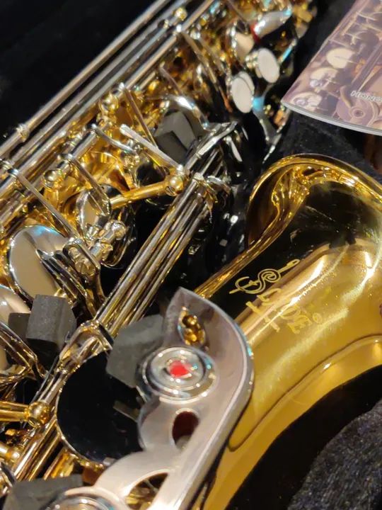 Sax Saxofone Alto Conservatório Escola de Música Universidade - Foto 4