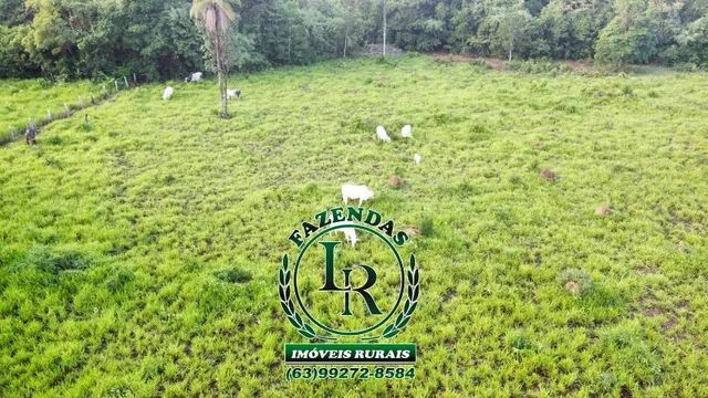 Fazenda 29 Alqueires Região Aparecida Rio Negro - Foto 2