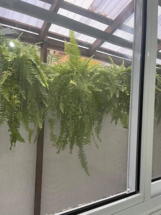 Disponível p/ o Réveillon - Praia dos Ingleses. - Foto 14