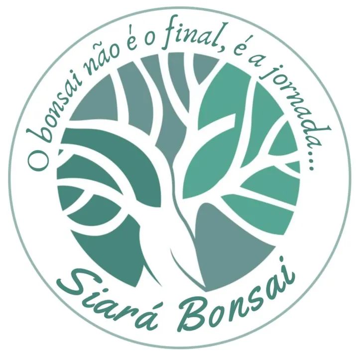 Bonsai e Pré-Bonsai - Foto 6