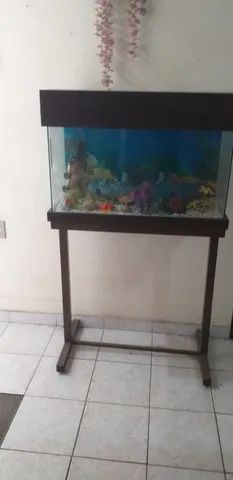 Aquario 80*40*30,com prateleira em aço carbono reforçada.