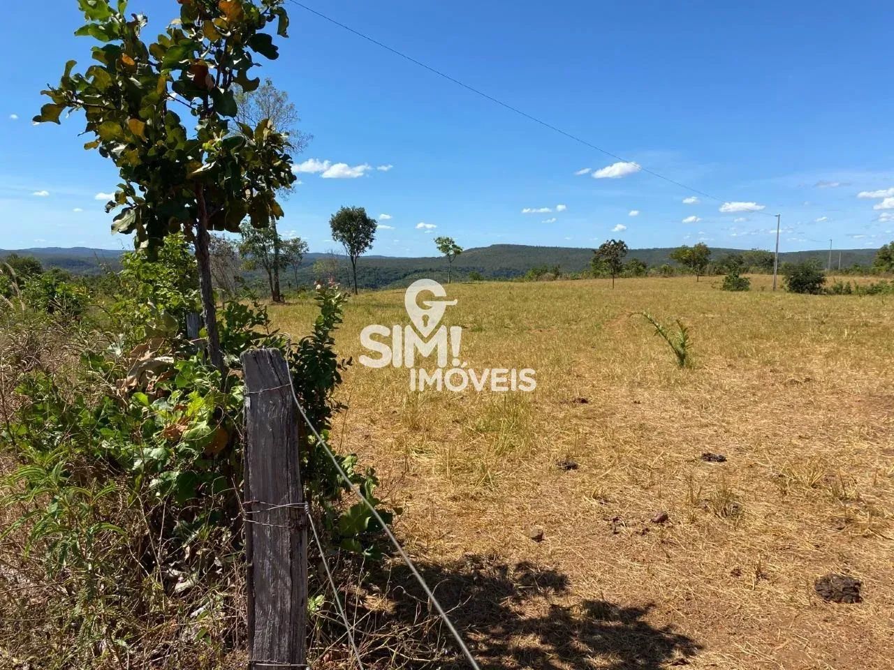 FAZENDA MONTE DO CARMO -TOCANTINS. - Foto 5