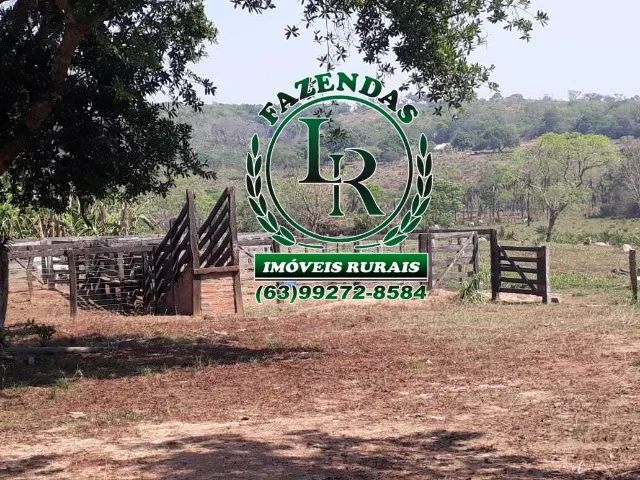Fazenda 35 Alqueires Dupla Aptidão - Foto 3