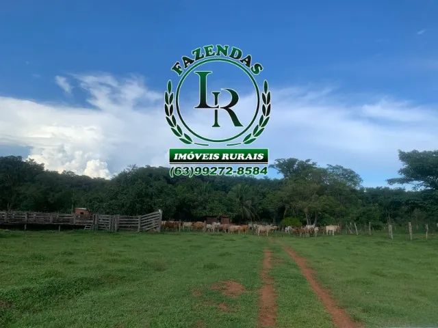 Fazenda 69  Alqueires  Dupla Aptidão - Foto 2